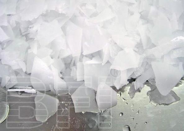 制冰機(jī)中，哪種類型最適合食品加工保鮮