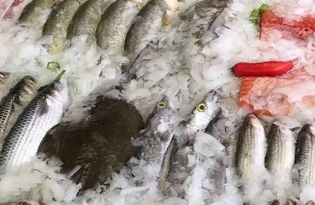 片冰機的水要加鹽嗎？