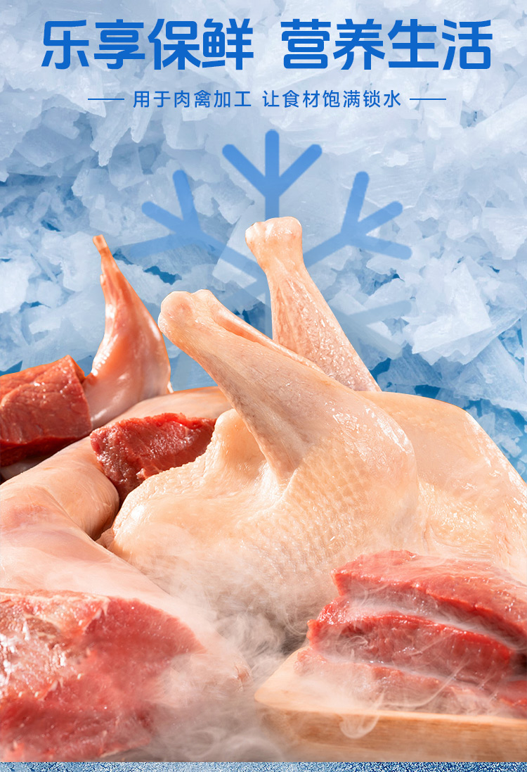 用于肉禽加工片冰機