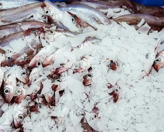 超市與海鮮市場(chǎng)