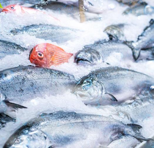 三、適用行業(yè)?