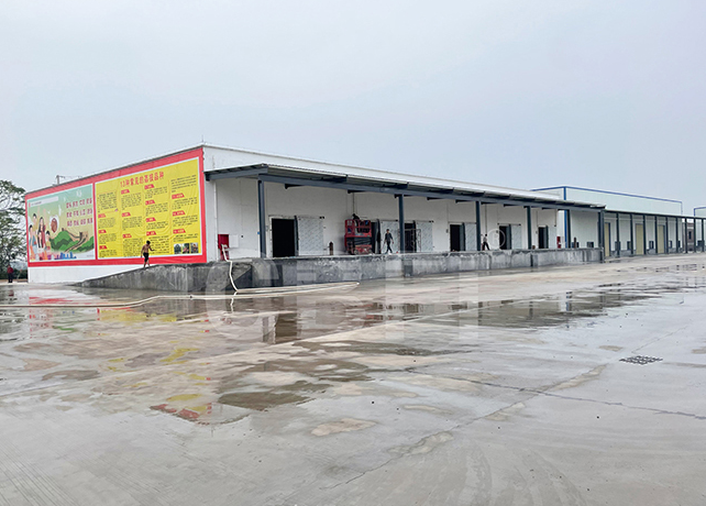 大型全自動制冰機被廣泛應(yīng)用于冷鏈物流、漁業(yè)加工、夏季降溫等